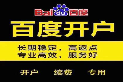 百度品牌专区推广：打造品牌形象的新途径